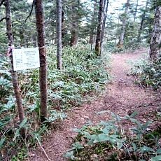 240612_p19.jpg