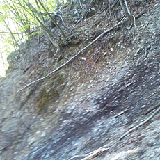 130517_p13.jpg