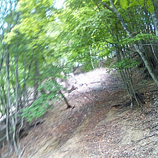 130526_p21.jpg