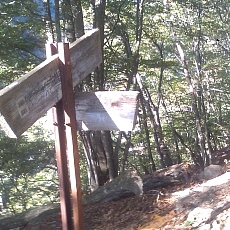 131013_p01.jpg