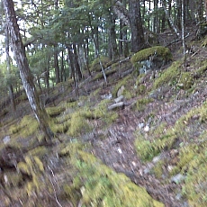 150605_p25.jpg