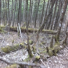 150605_p29.jpg