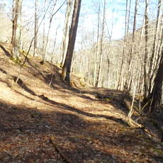 190505_p03.jpg