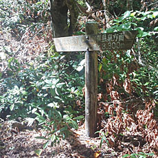 191005_p17.jpg