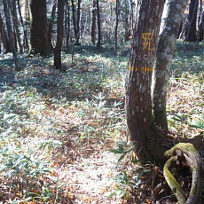 191104_p27.jpg