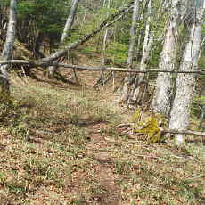 200024_p04.jpg