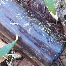 200024_p05.jpg