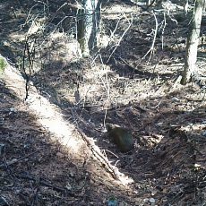 201206_p46.jpg