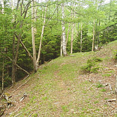 210612_p38.jpg