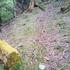 220515_p19.jpg