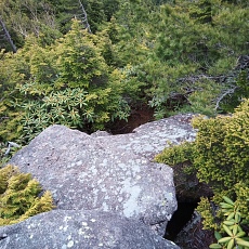 220618_p18.jpg