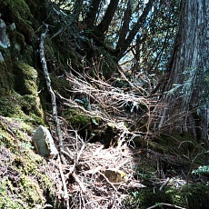 220528_p39.jpg