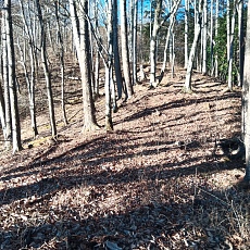 221127_p18.jpg