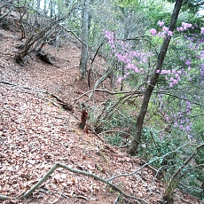 230502_p07.jpg