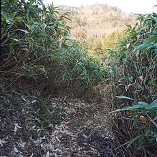240530_p09.jpg