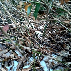241112_p05.jpg