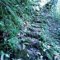 250629_p04.jpg