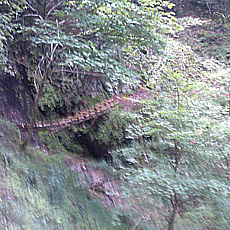 120916_p24.jpg