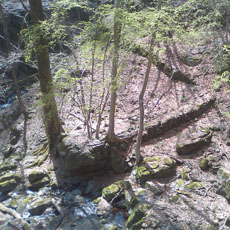 130414_p04.jpg