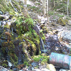 130526_p16.jpg
