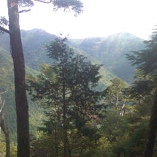 130914_p11.jpg