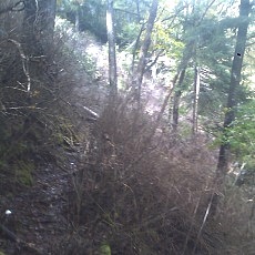 131006_p19.jpg