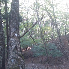 141011_p28.jpg
