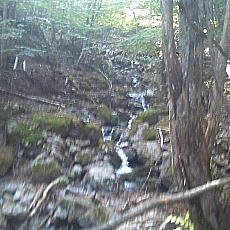 141011_p31.jpg