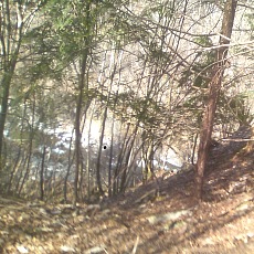 150330_p29.jpg