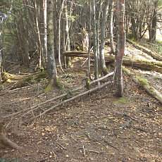 151010_p01.jpg