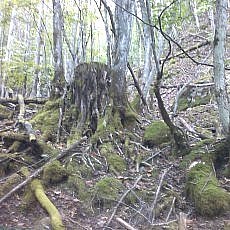 151010_p32.jpg