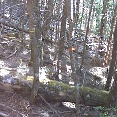 160603_p23.jpg