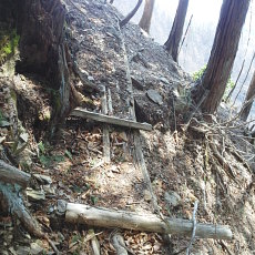 180329_p21.jpg