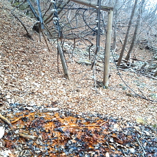 190323_p27.jpg
