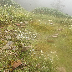 190921_p08.jpg