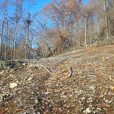 191129_p08.jpg