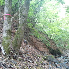 210515_p12.jpg