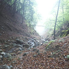 210522_p16.jpg