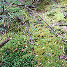 210916_p15.jpg