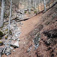 220416_p28.jpg