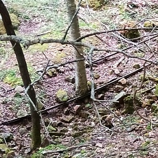 220618_p45.jpg