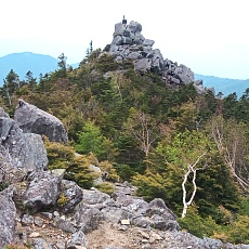 220618_p09.jpg