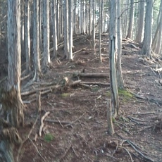 230414_p08.jpg