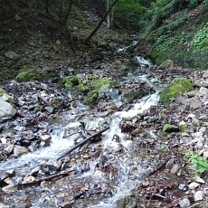 230618_p04.jpg