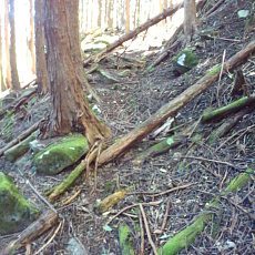 211020_p13.jpg