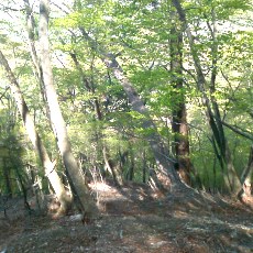 110514_n03.jpg