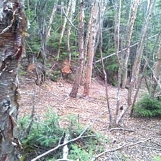 130606_p30.jpg