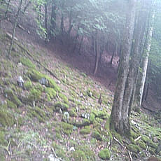 130726_p12.jpg