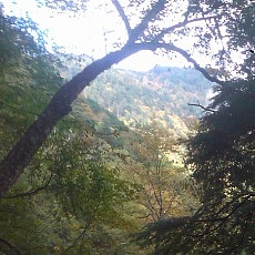 131006_p20.jpg