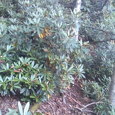 140922_p29.jpg